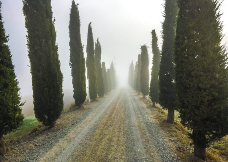 pexels-charldurand-6593019